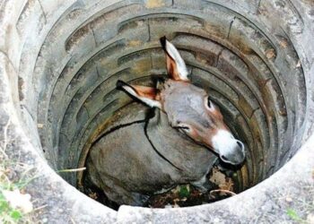 Устингиздан тупроқ ташласалар… (ибратли воқеа)