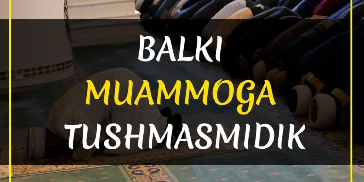 Балки муаммога тушмасмидик…