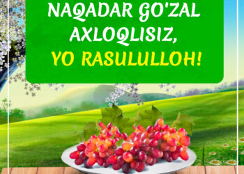 Нақадар гўзал ахлоқлисиз, ё Расулуллоҳ!