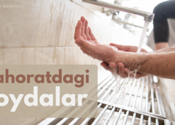 Таҳоратдаги фойдалар