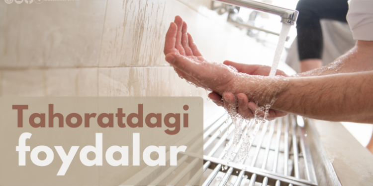 Таҳоратдаги фойдалар