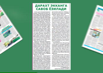 Дарахт экканга савоб ёзилади!